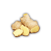 Ginger