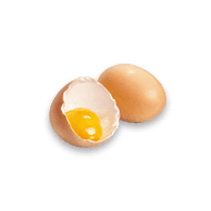 Egg