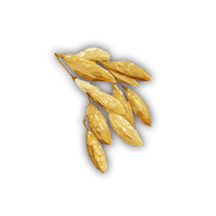 Barley