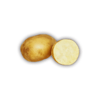 Potato