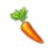 Carrot