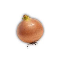 Onion