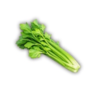 Celery