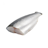 Bass