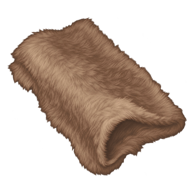 Bear Fur